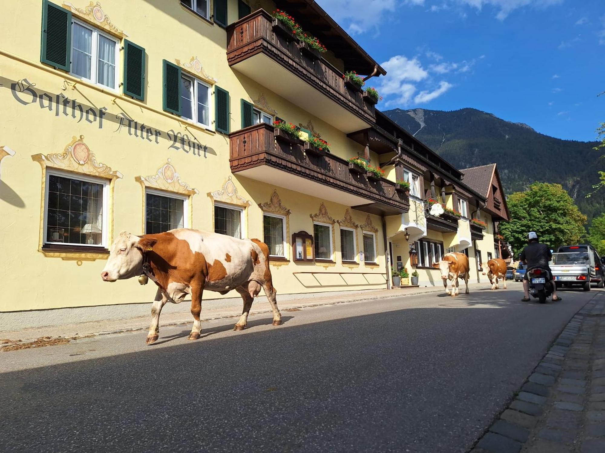 Hotel Gasthof Alter Wirt Фархант Экстерьер фото